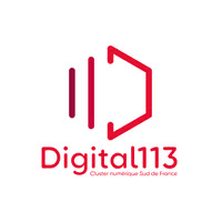 digital 113
